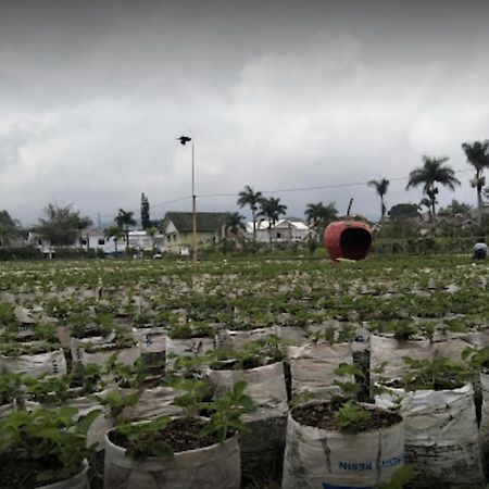 Sindanglaya Villa Musti Green Apple Cipanas المظهر الخارجي الصورة