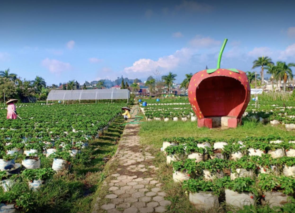 Sindanglaya Villa Musti Green Apple Cipanas المظهر الخارجي الصورة