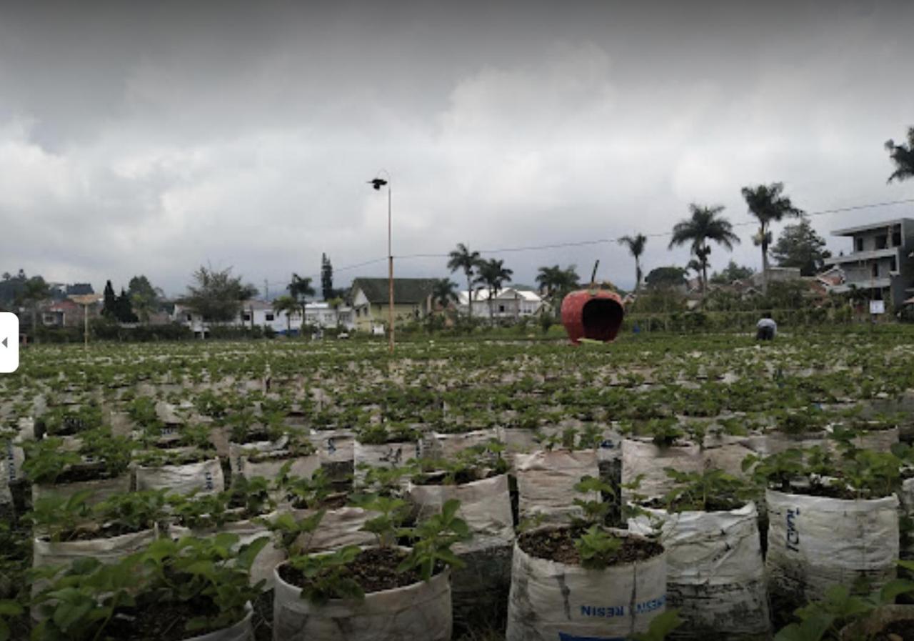 Sindanglaya Villa Musti Green Apple Cipanas المظهر الخارجي الصورة